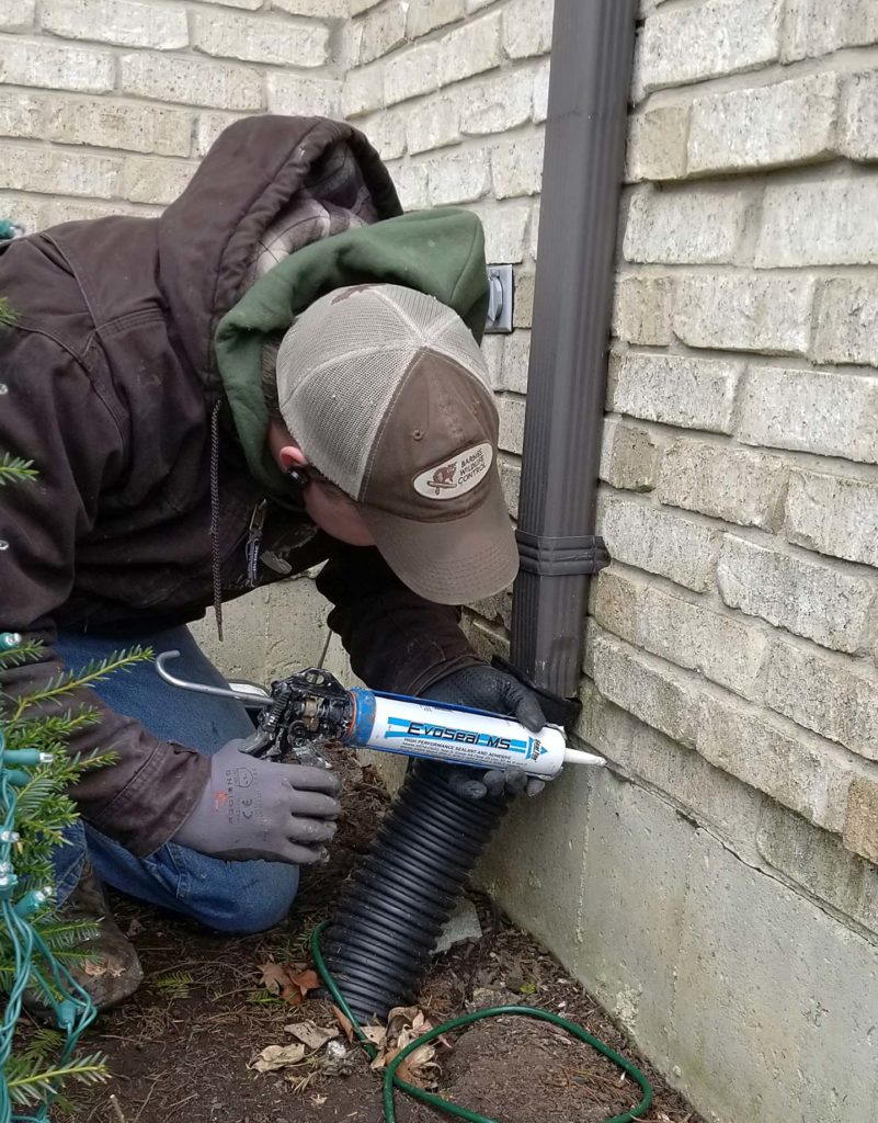 EvoSealMS_WildlifeControl